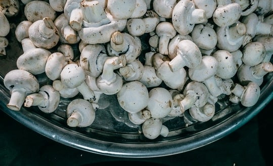foods that begin with the letter w a bowl of white button mushroom.