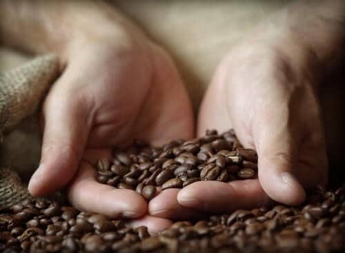 Person holding Costa Rican coffee beans in the palms of their hands.
